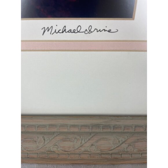 Spring Glow Sedona Color Photograph signed by Michael Irvine Stunning Scenic Fra - Picture 2 of 9